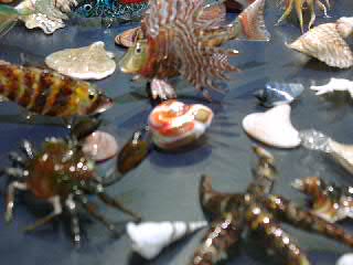 More glass creatures