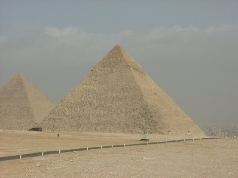 11290028.JPG