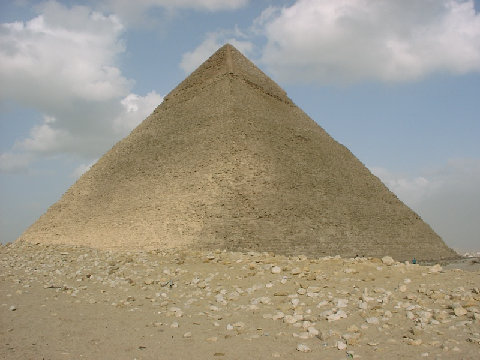 11290039.JPG