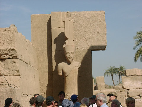 11270016.JPG