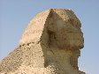 11290047.JPG