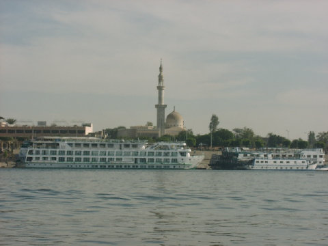 11270031.JPG