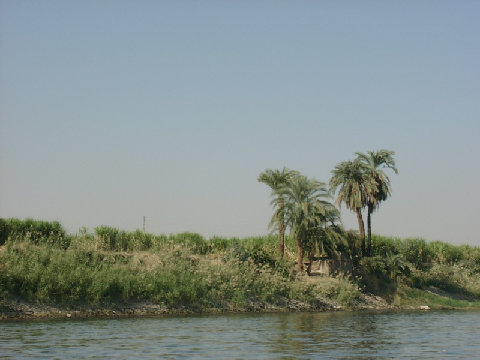 11270032.JPG