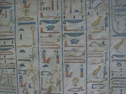 11270046.JPG