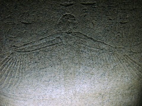 11270052.JPG