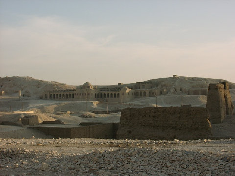 11270069.JPG
