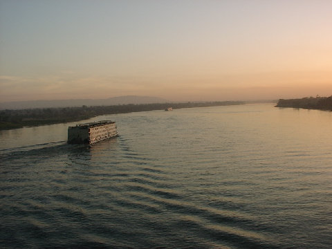 11270073.JPG
