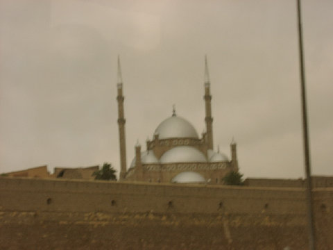 11290006.JPG