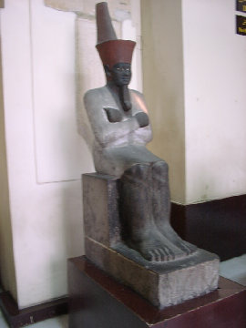 11290011.JPG