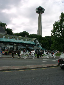 07030014.JPG