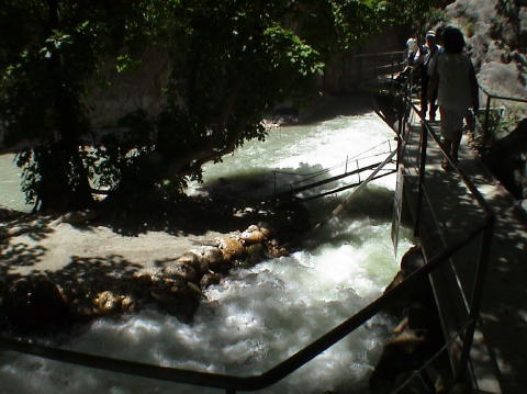 DSC00079