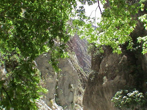 DSC00083
