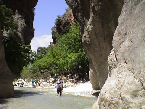DSC00085