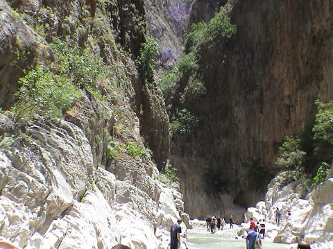 DSC00086