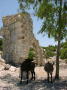 05280044