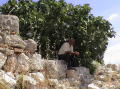 DSC00065