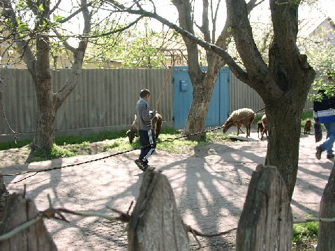 03290012.JPG