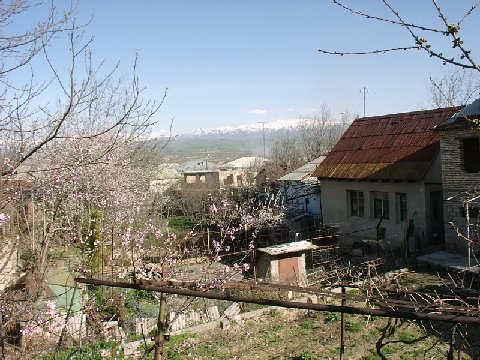 03220006.JPG